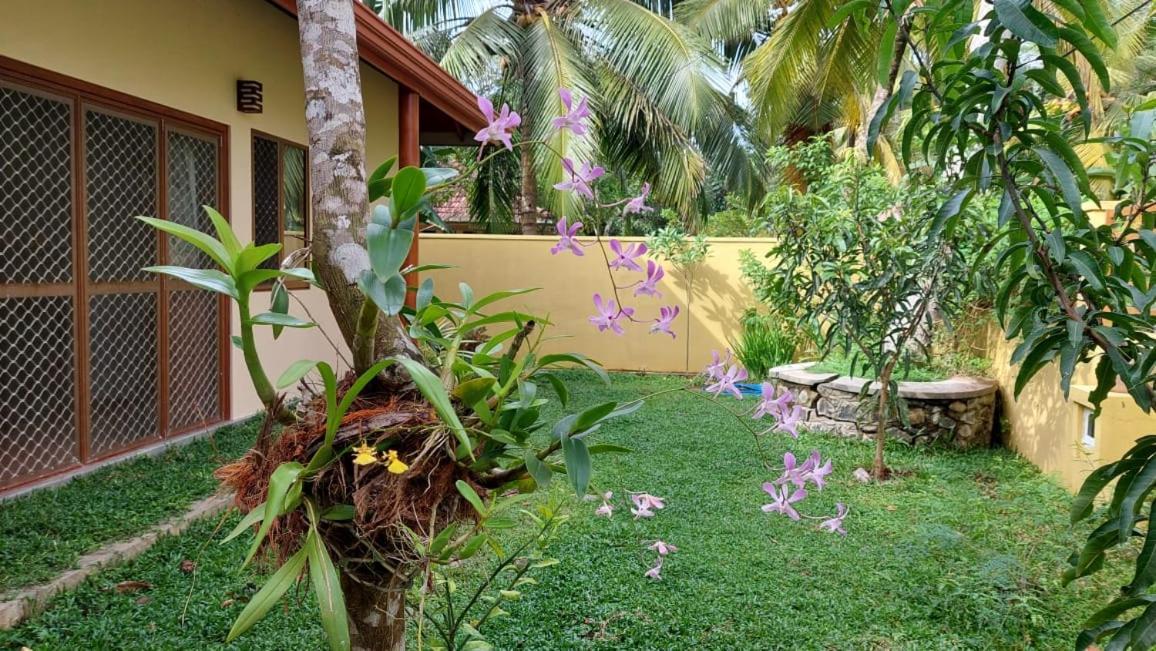 El-Nivasa Villa In Weligama Extérieur photo